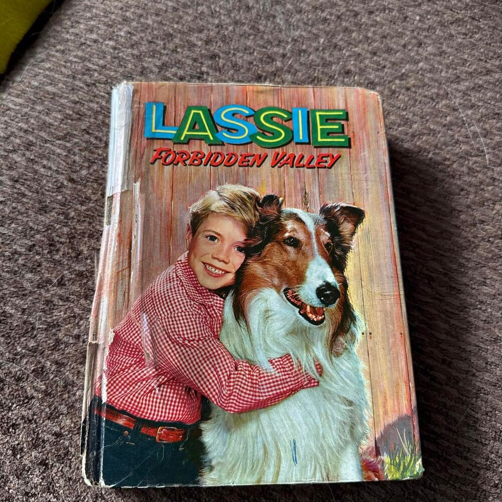 Lassie Forbidden Valley Hardcover Book Vintage 50s Doris Schroeder